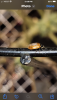 C9838FC2-659C-4601-9BED-F0DF08F52E37.png
