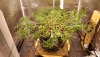 20180428_092621.jpg