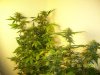 week 5 - group pic.jpg