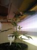 2009-08-15 22.42.41_t.jpg