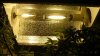 150_W_03.jpg