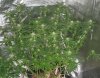 20230211_085621.jpg
