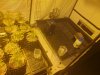 20230218_072945.jpg