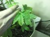 photo0205.jpg