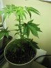 photo0211o.jpg