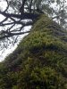 20220315_094247.jpg