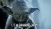 yoda.jpg