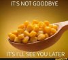 1CD466A3-736D-4B87-9130-B81552779D12.jpeg