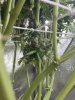 IMG_3077.jpeg