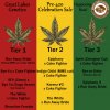 420 Tiers - posted.jpg
