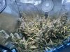IMG_3193.jpeg