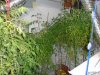 DSC01741.JPG