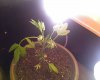 Photo_081809_002.jpg