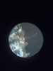 08-18-09_1655.jpg