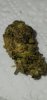 20230525_002808.jpg