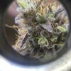IMG_1792.jpeg