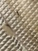 20230603_061128.jpg