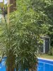 IMG_6295.jpeg