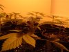 DSCF4173.jpg