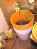 HYDRO SET UP.jpg