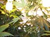 100_0026.jpg