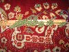digital camera photos 3220.jpg