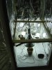 DSC00049.jpg