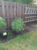 IMG_20230610_103757.jpg
