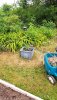 20230605_130036.jpg