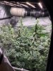 IMG_1585.jpeg