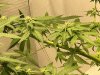 IMG_4900.jpeg