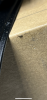 IMG_3153.png