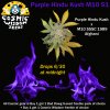 Cosmic - Purple Hindu Kush M10 S1.jpg