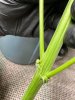 IMG_1370.jpeg