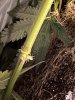 IMG_1373.jpeg