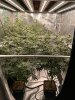 IMG_1374.jpeg