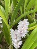 IMG_0510.jpeg