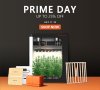 Prime DAY Sale.jpg
