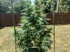 IMG_2722.jpeg
