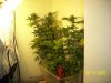 week 5'5 - group pic-e.jpg