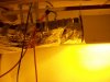 grow setup 009.jpg
