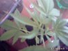 PICT0070.jpg