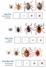 tick-species.png
