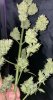 IMG_7327.jpeg