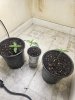 20230704_095743.jpg 20230704_095743.jpg