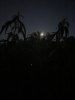 IMG_2685.jpeg