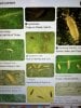 IMG_1345.jpeg IMG_1345.jpeg