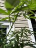 IMG_3247.JPEG