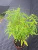 20230803_130357.jpg