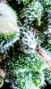 2023_08_02_15_58_44_344.png